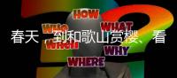 快排公司十年历程，霸屏兔 seo 的崛起与坚守