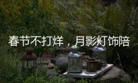 快排公司十年历程，霸屏兔 seo 的崛起与坚守