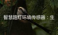 智慧路灯环境传感器：生态+城市建设
