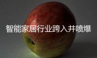 快排公司十年历程，霸屏兔 seo 的崛起与坚守