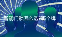 快排公司十年历程，霸屏兔 seo 的崛起与坚守