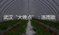 武汉“大晚点”
：冻雨致冰的高铁难题