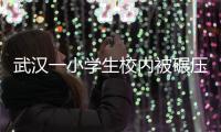 武汉一小学生校内被碾压致死	，官方

：涉事教师刑拘，校长免职
