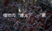 快排公司十年历程，霸屏兔 seo 的崛起与坚守