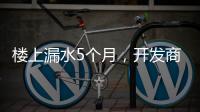 楼上漏水5个月，开发商和邻居“踢皮球”，法院这样判→