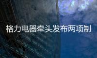 格力电器牵头发布两项制冷压缩机国际标准 董明珠：消费者的需要才是真正的标准