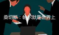 桑切斯：帕尔默是世界上最好的球员，他的发挥如同魔法一样
