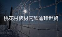 快排公司十年历程，霸屏兔 seo 的崛起与坚守