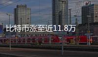 快排公司十年历程，霸屏兔 seo 的崛起与坚守