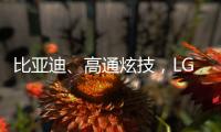 快排公司十年历程，霸屏兔 seo 的崛起与坚守