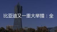 比亚迪又一重大举措
：全面兜底