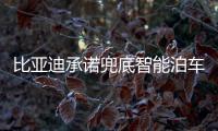比亚迪承诺兜底智能泊车！媲美L4级体验，出了问题官方赔付
