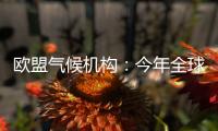欧盟气候机构：今年全球气温经历有记录以来第二热的5月