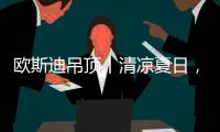 欧斯迪吊顶丨清凉夏日，年“粽”大礼惊喜来袭