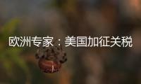 欧洲专家	：美国加征关税将伤及自身 贸易战没有赢家