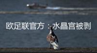 欧足联官方：水晶宫被剥夺欧联杯资格，将参加欧协联