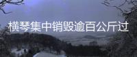 横琴集中销毁逾百公斤过期药品，守护居民食药安全