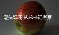 快排公司十年历程，霸屏兔 seo 的崛起与坚守