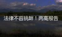 法律不容挑衅！两高报告点名辣笔小球、纸面服刑等