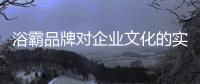 快排公司十年历程，霸屏兔 seo 的崛起与坚守