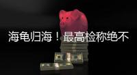 海龟归海�！最高检称绝不放纵破坏资源环境非法行为