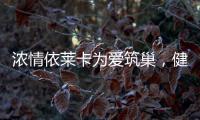 浓情依莱卡为爱筑巢，健康全铝家居感恩天下母亲!