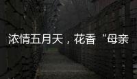 浓情五月天，花香“母亲节”	�！担杆镇海岛之家开展母亲节插花活动