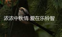 快排公司十年历程，霸屏兔 seo 的崛起与坚守