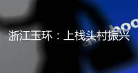 快排公司十年历程，霸屏兔 seo 的崛起与坚守
