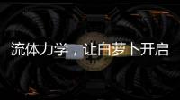 流体力学
，让白萝卜开启无电净水新时代