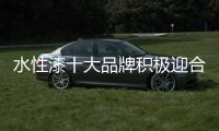快排公司十年历程，霸屏兔 seo 的崛起与坚守