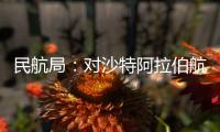 民航局：对沙特阿拉伯航空一航班实施熔断措施