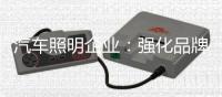 汽车照明企业	：强化品牌 提升溢价能力