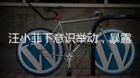 汪小菲下意识举动
，暴露真实人品，终于明白大S和马筱梅谁在说谎