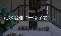 快排公司十年历程，霸屏兔 seo 的崛起与坚守