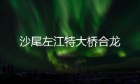 沙尾左江特大桥合龙