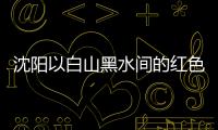 沈阳以白山黑水间的红色印记专题展献礼建党百年