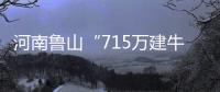 快排公司十年历程，霸屏兔 seo 的崛起与坚守