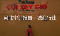 河北审计报告：城商行违规放贷406亿，344辆公务用车被违规租赁