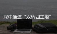 快排公司十年历程，霸屏兔 seo 的崛起与坚守