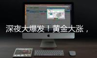深夜大爆发
！黄金大涨，现货白银创14年新高
！美股全线跳水