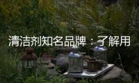 清洁剂知名品牌	：了解用户需求 注重市场反馈