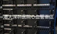 快排公司十年历程，霸屏兔 seo 的崛起与坚守