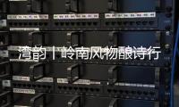 快排公司十年历程，霸屏兔 seo 的崛起与坚守