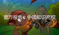 官方报告：中国知识产权公共服务能力和水平不断提升