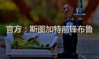 快排公司十年历程，霸屏兔 seo 的崛起与坚守