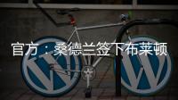 快排公司十年历程，霸屏兔 seo 的崛起与坚守