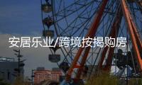 快排公司十年历程，霸屏兔 seo 的崛起与坚守