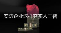 快排公司十年历程，霸屏兔 seo 的崛起与坚守