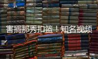 快排公司十年历程，霸屏兔 seo 的崛起与坚守